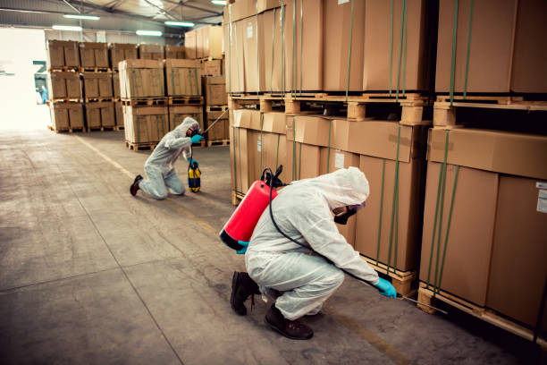 Best Pest Control Near Me  in Emerald Lakes, PA