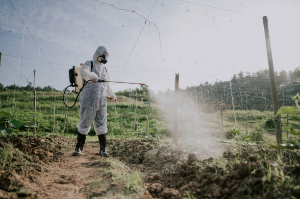 Best Termite Control Services  in Emerald Lakes, PA