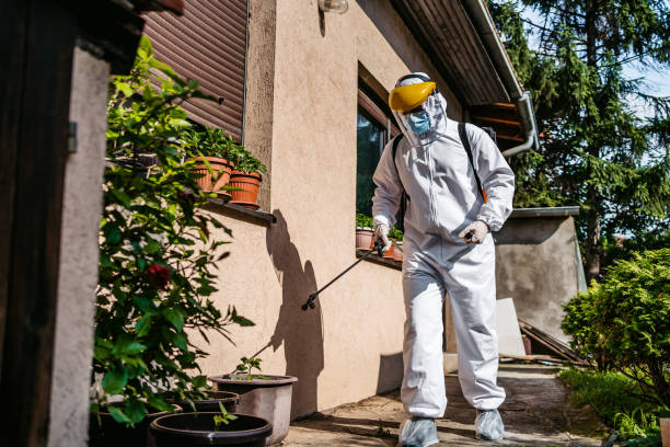 Professional Pest Control in Emerald Lakes, PA