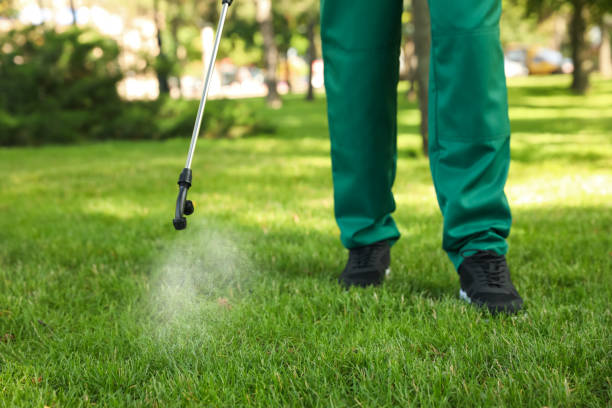 Best Flea Control Services  in Emerald Lakes, PA