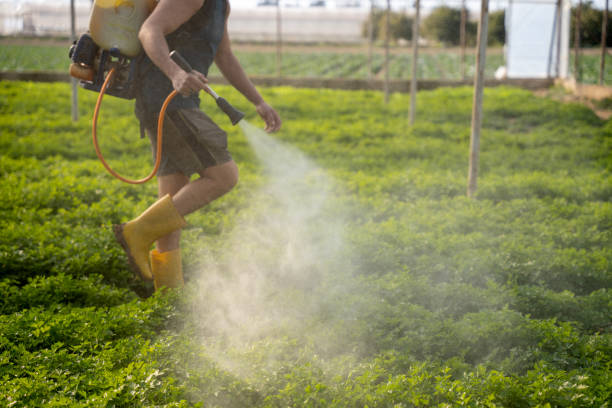 Best Mosquito Control Services  in Emerald Lakes, PA