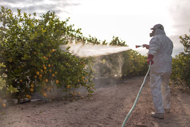 Best Best Pest Control Companies  in Emerald Lakes, PA