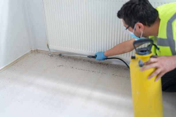 Best Residential Pest Control  in Emerald Lakes, PA