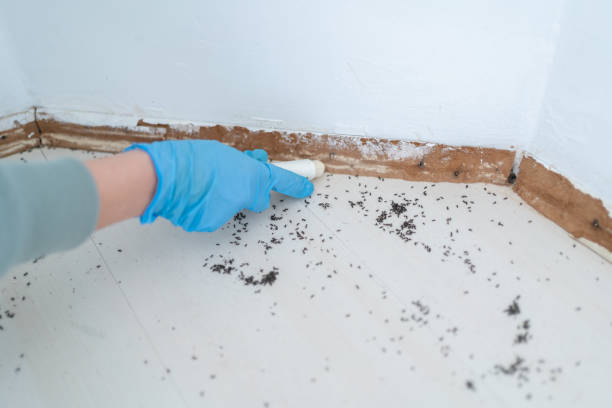Best Wildlife Control Services  in Emerald Lakes, PA