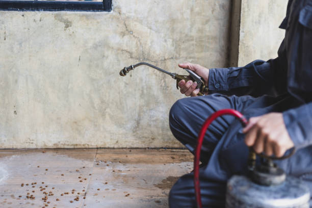 Best Termite Control Services  in Emerald Lakes, PA